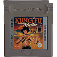 Kung Fu Master