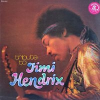 The Live Experience Band - Tribute To Jimi Hendrix [Vinyl...