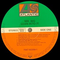 Mr. Big - Lean Into It [Vinyl LP]