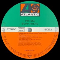 Mr. Big - Bump Ahead [Vinyl LP]