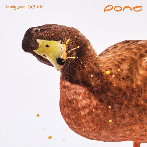 Pond - The Early Years: 2008 - 2010 [LP NEU] Spinning Top Records -168317 | RSD 2025